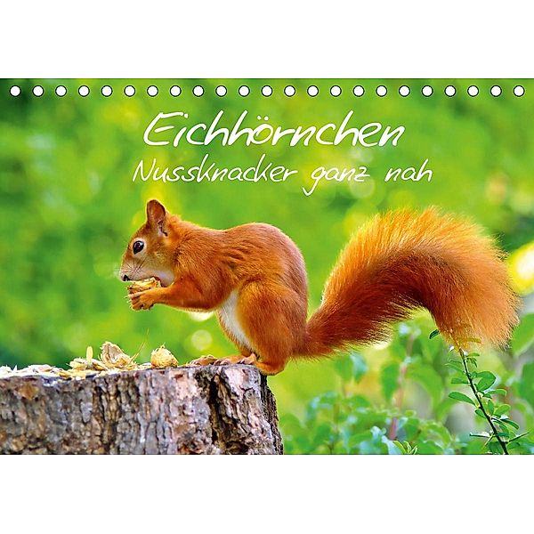 Eichhörnchen-Nussknacker ganz nah (Tischkalender 2021 DIN A5 quer), Ivan Jazbinszky