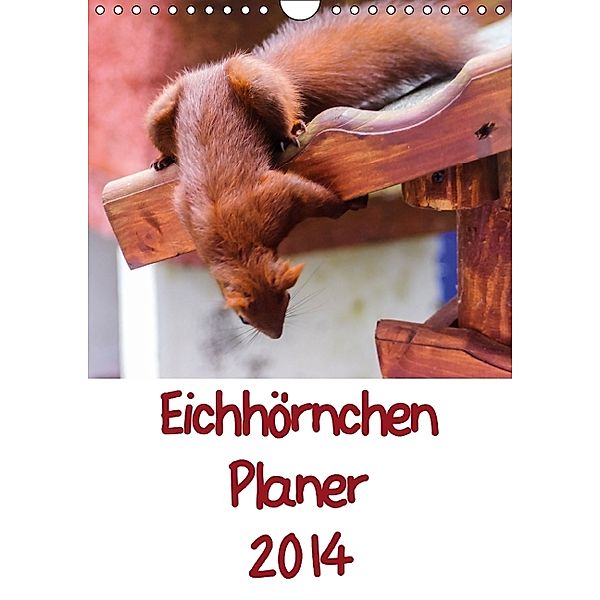 Eichhörnchen Planer 2014 (Wandkalender 2014 DIN A4 hoch), Carsten Jäger