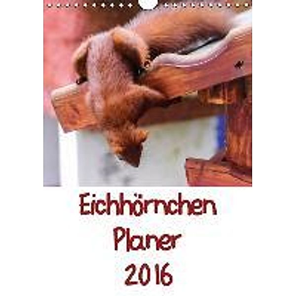 Eichhörnchen Planer 2016 (Wandkalender 2016 DIN A4 hoch), Carsten Jäger