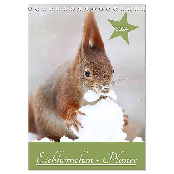 Eichhörnchen - Planer (Tischkalender 2024 DIN A5 hoch), CALVENDO Monatskalender, Birgit Cerny