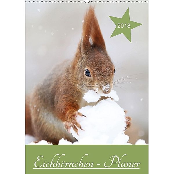 Eichhörnchen - Planer (Wandkalender 2018 DIN A2 hoch) Dieser erfolgreiche Kalender wurde dieses Jahr mit gleichen Bilder, Birgit Cerny