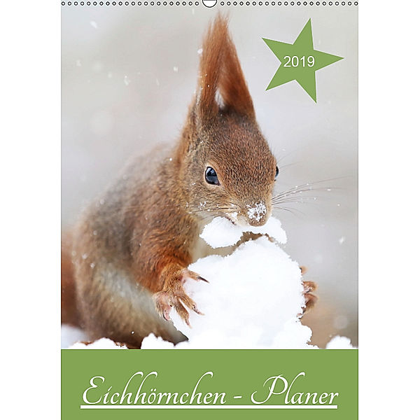 Eichhörnchen - Planer (Wandkalender 2019 DIN A2 hoch), Birgit Cerny