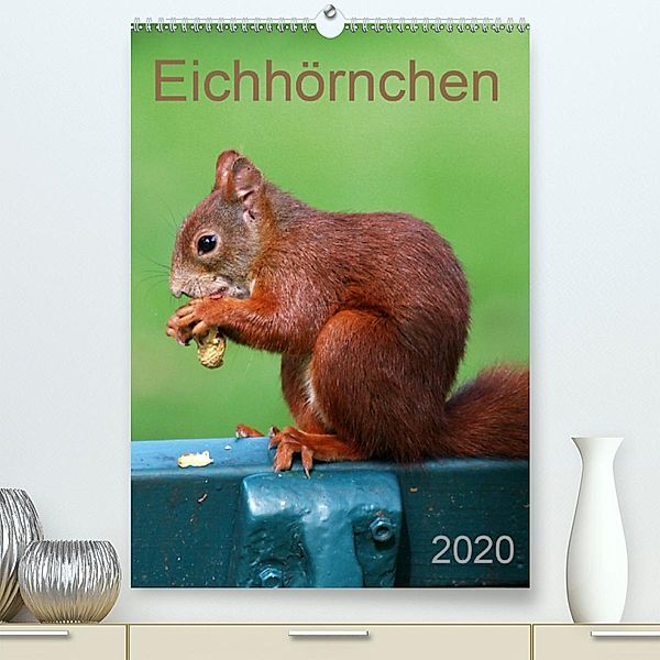 Eichhörnchen (Premium-Kalender 2020 DIN A2 hoch)