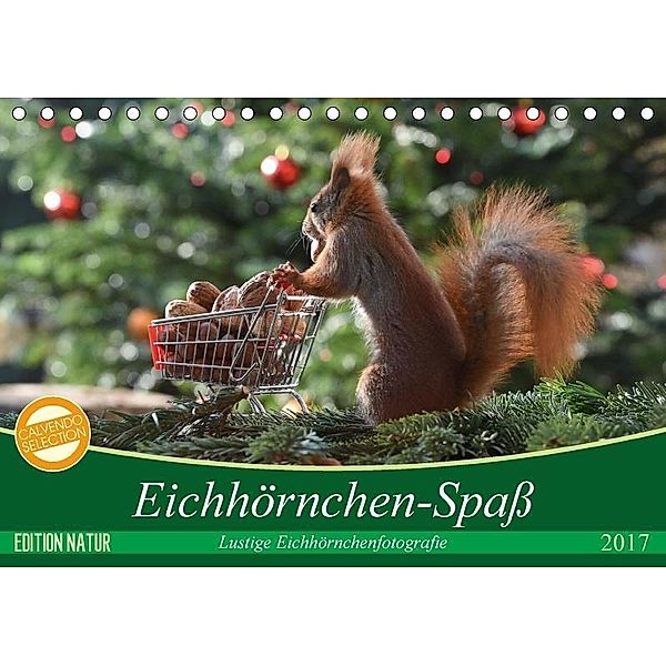 Eichhörnchen-Spaß (Tischkalender 2017 DIN A5 quer), Heike Adam