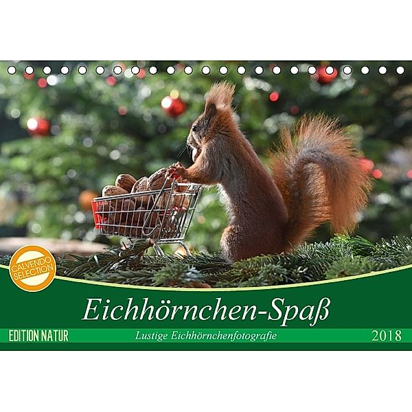 Eichhörnchen-Spaß (Tischkalender 2018 DIN A5 quer), Heike Adam