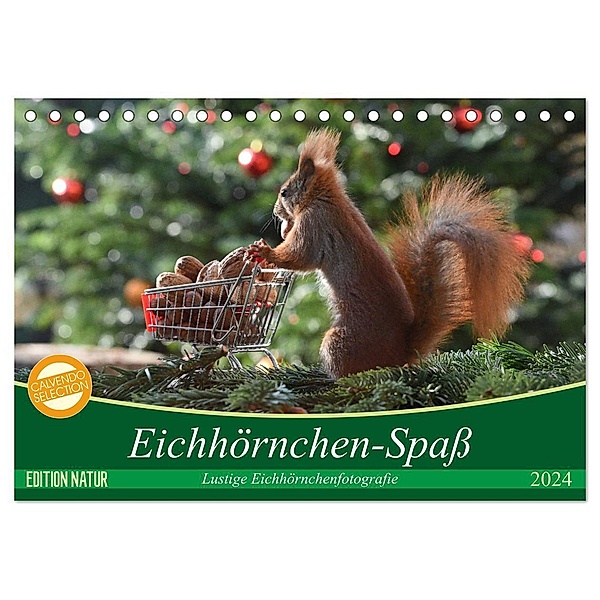 Eichhörnchen-Spass (Tischkalender 2024 DIN A5 quer), CALVENDO Monatskalender, Heike Adam