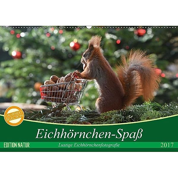 Eichhörnchen-Spaß (Wandkalender 2017 DIN A2 quer), Heike Adam