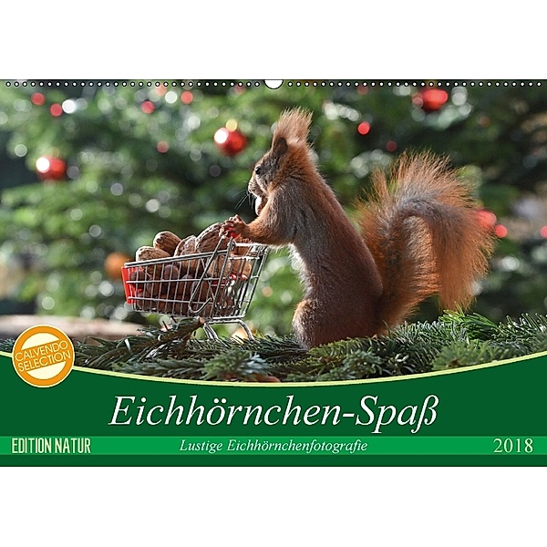 Eichhörnchen-Spaß (Wandkalender 2018 DIN A2 quer), Heike Adam