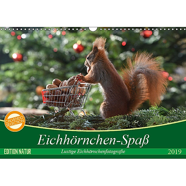 Eichhörnchen-Spaß (Wandkalender 2019 DIN A3 quer), Heike Adam
