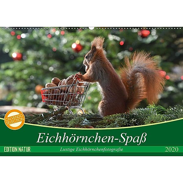 Eichhörnchen-Spaß (Wandkalender 2020 DIN A2 quer), Heike Adam