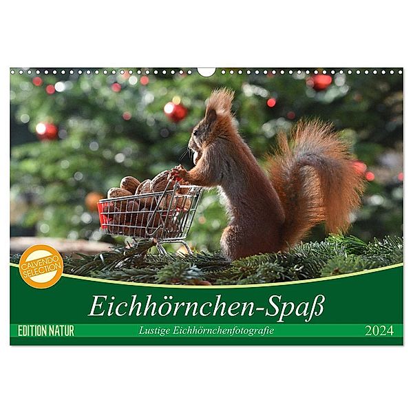 Eichhörnchen-Spass (Wandkalender 2024 DIN A3 quer), CALVENDO Monatskalender, Heike Adam