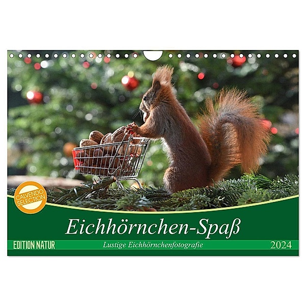 Eichhörnchen-Spass (Wandkalender 2024 DIN A4 quer), CALVENDO Monatskalender, Heike Adam