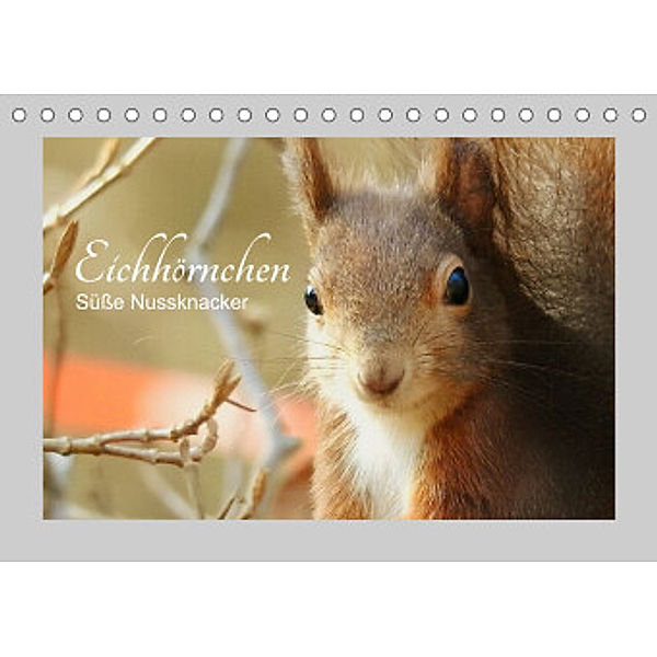 Eichhörnchen - Süße Nussknacker (Tischkalender 2022 DIN A5 quer), Fofino