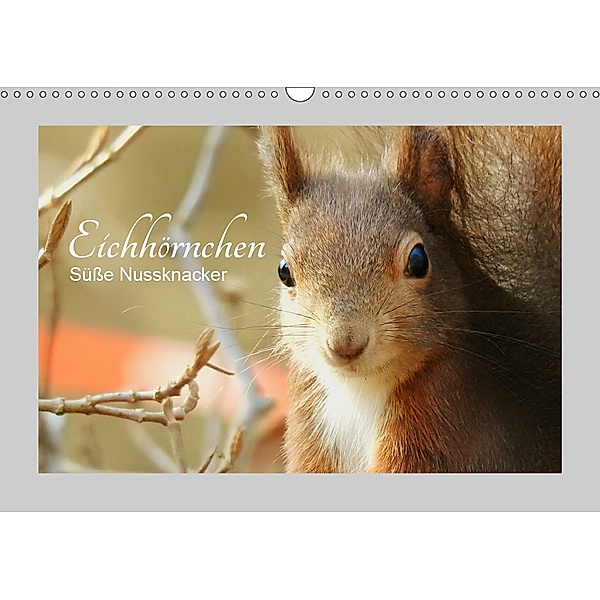 Eichhörnchen - Süße Nussknacker (Wandkalender 2019 DIN A3 quer)