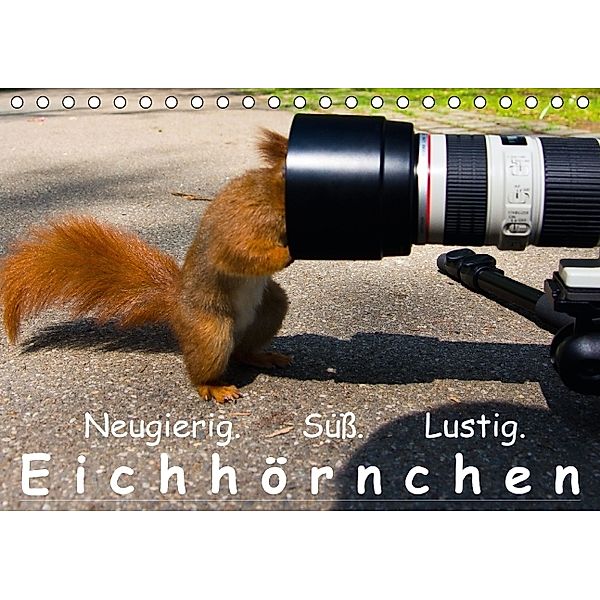 Eichhörnchen (Tischkalender 2014 DIN A5 quer), Ralph Reichert