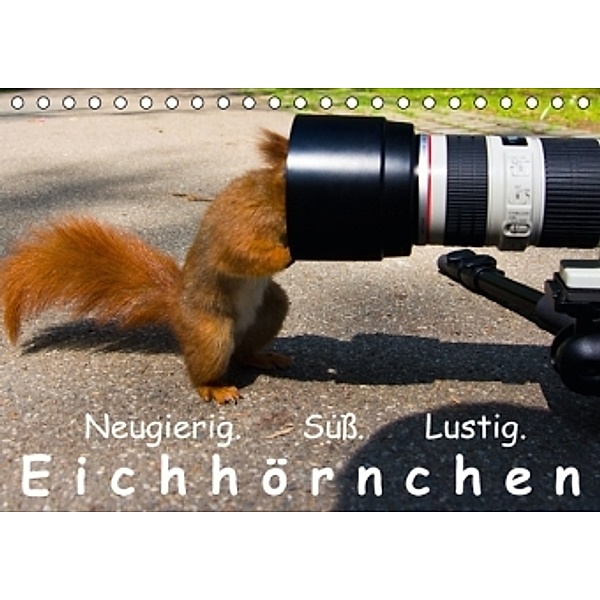 Eichhörnchen (Tischkalender 2015 DIN A5 quer), Ralph Reichert