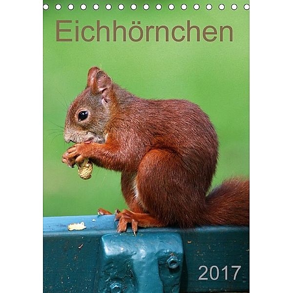 Eichhörnchen (Tischkalender 2017 DIN A5 hoch), SchnelleWelten