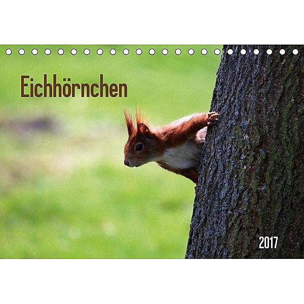 Eichhörnchen (Tischkalender 2017 DIN A5 quer), SchnelleWelten