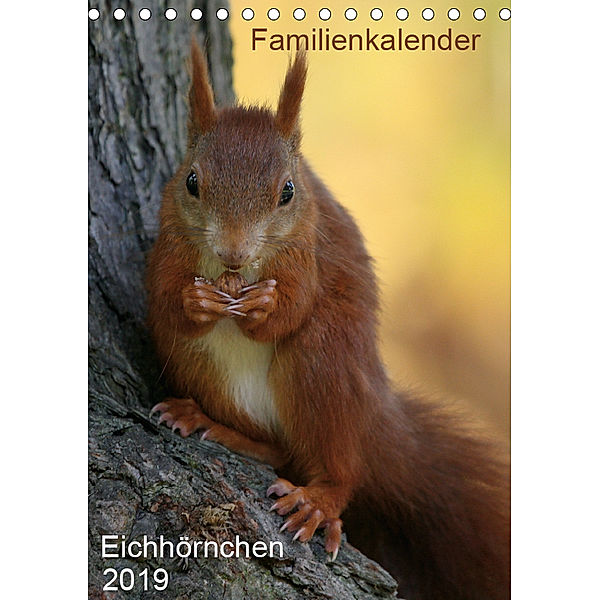 Eichhörnchen (Tischkalender 2019 DIN A5 hoch), SchnelleWelten