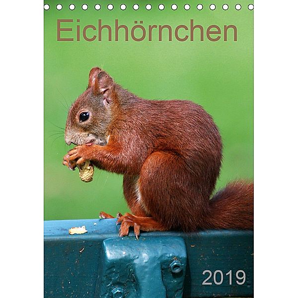 Eichhörnchen (Tischkalender 2019 DIN A5 hoch), SchnelleWelten