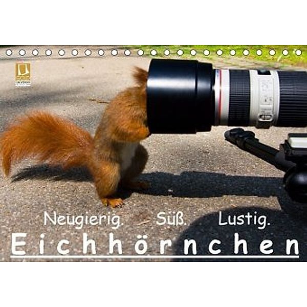Eichhörnchen (Tischkalender 2020 DIN A5 quer), Ralph Reichert