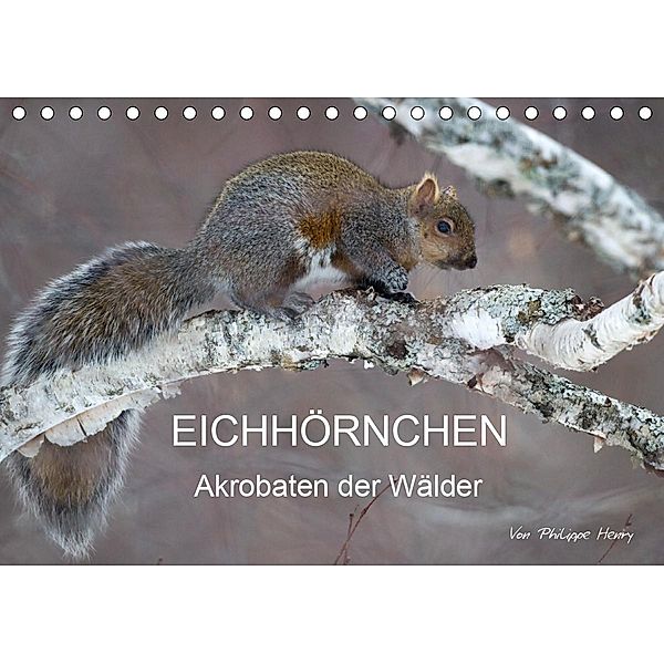 EICHHÖRNCHEN (Tischkalender 2021 DIN A5 quer), Philippe Henry