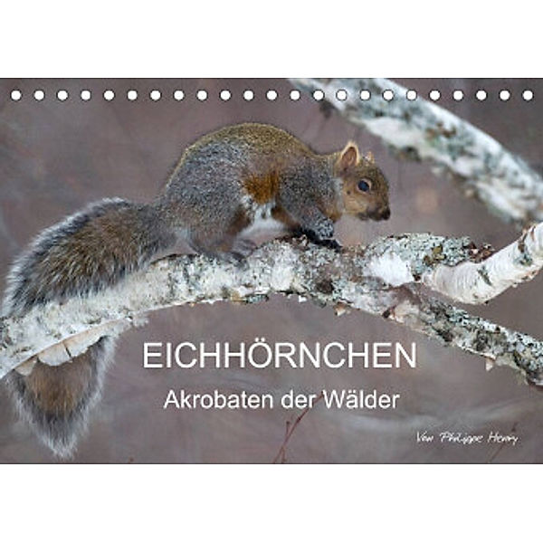 EICHHÖRNCHEN (Tischkalender 2022 DIN A5 quer), Philippe Henry