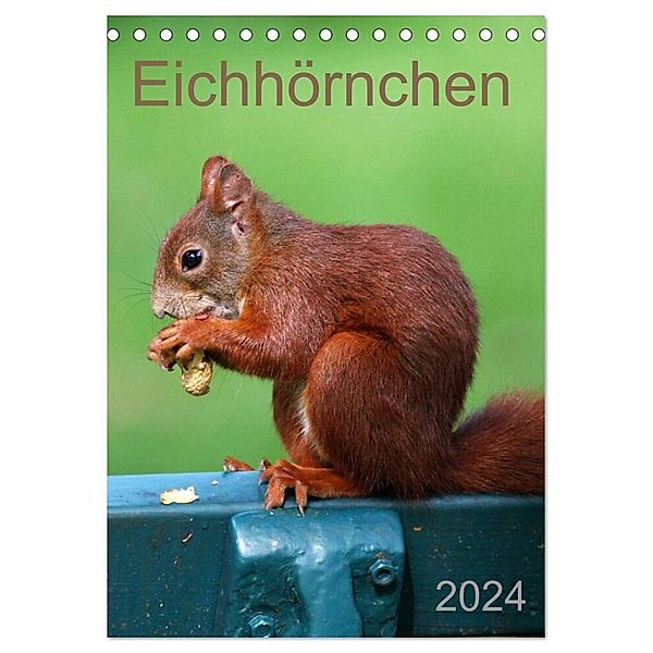 Eichhörnchen (Tischkalender 2024 DIN A5 hoch), CALVENDO Monatskalender, Schnellewelten