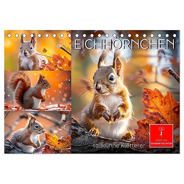 Eichhörnchen - tollkühne Kletterer (Tischkalender 2025 DIN A5 quer), CALVENDO Monatskalender, Calvendo, Peter Roder