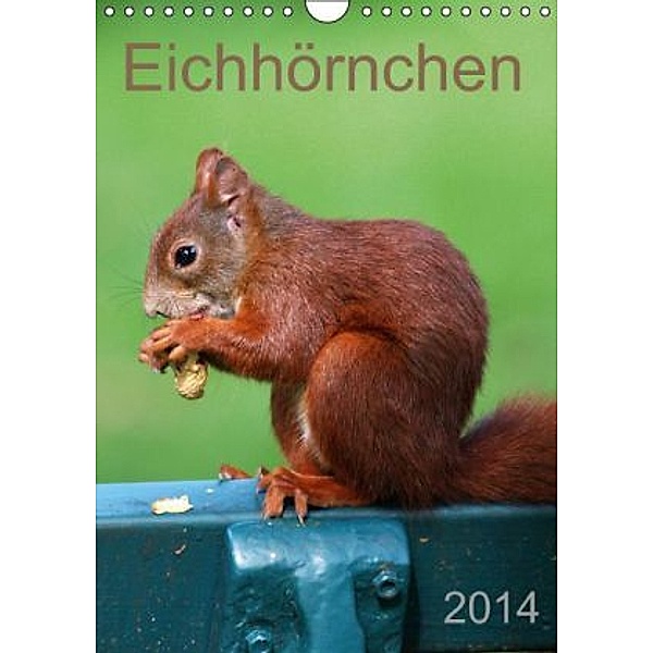 Eichhörnchen (Wandkalender 2014 DIN A4 hoch), Schnelle Welten