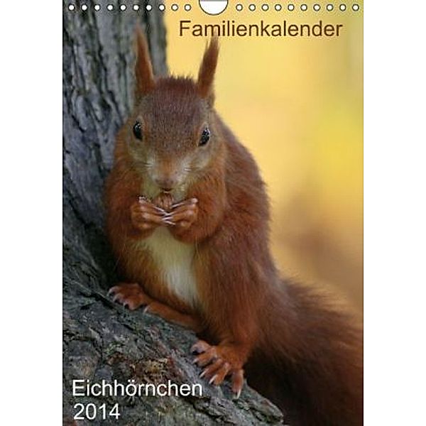 Eichhörnchen (Wandkalender 2014 DIN A4 hoch), SchnelleWelten