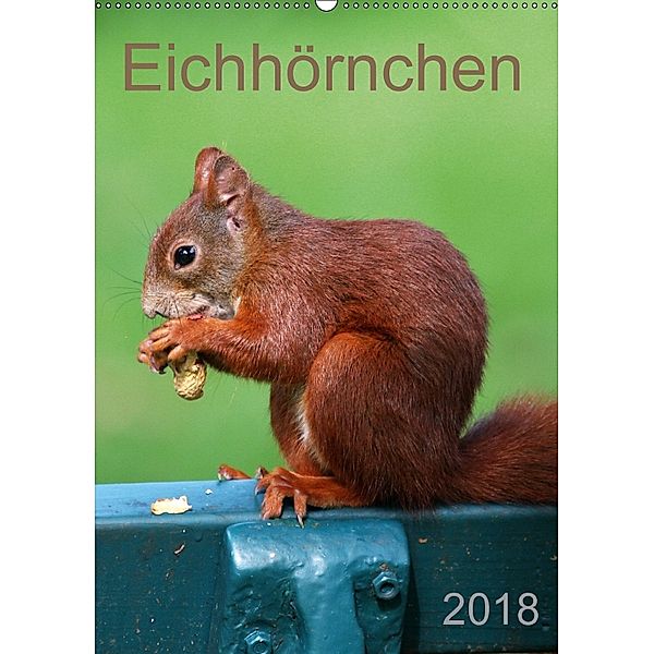 Eichhörnchen (Wandkalender 2018 DIN A2 hoch), SchnelleWelten