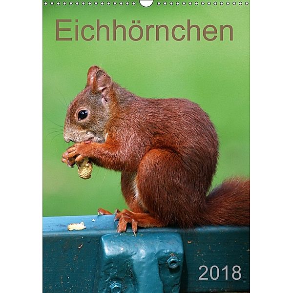 Eichhörnchen (Wandkalender 2018 DIN A3 hoch), SchnelleWelten