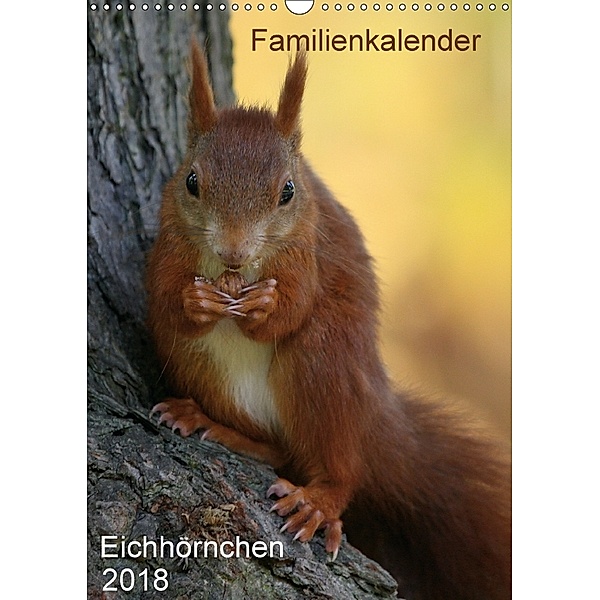 Eichhörnchen (Wandkalender 2018 DIN A3 hoch), SchnelleWelten
