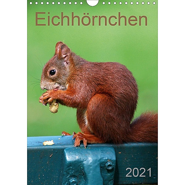 Eichhörnchen (Wandkalender 2021 DIN A4 hoch), Schnellewelten