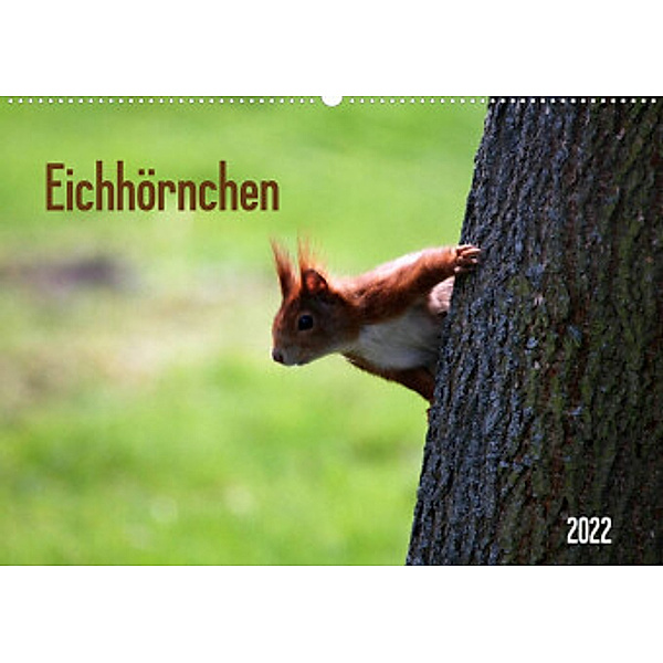 Eichhörnchen (Wandkalender 2022 DIN A2 quer), SchnelleWelten