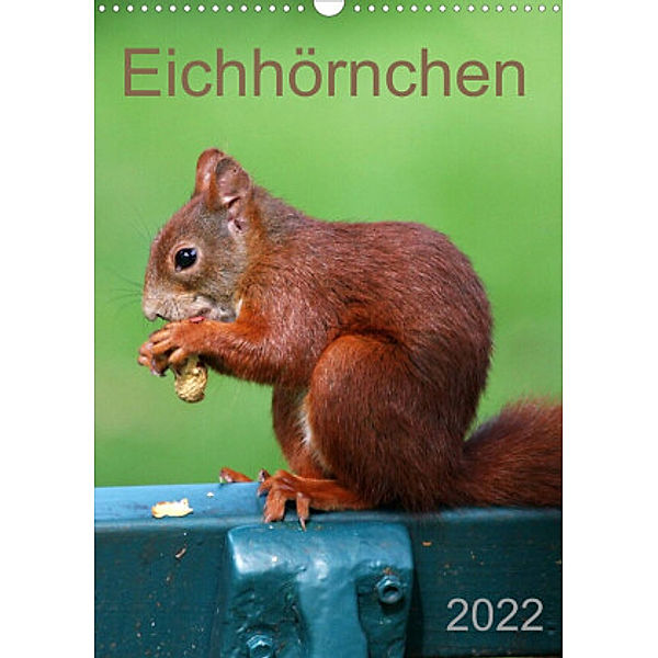Eichhörnchen (Wandkalender 2022 DIN A3 hoch), SchnelleWelten
