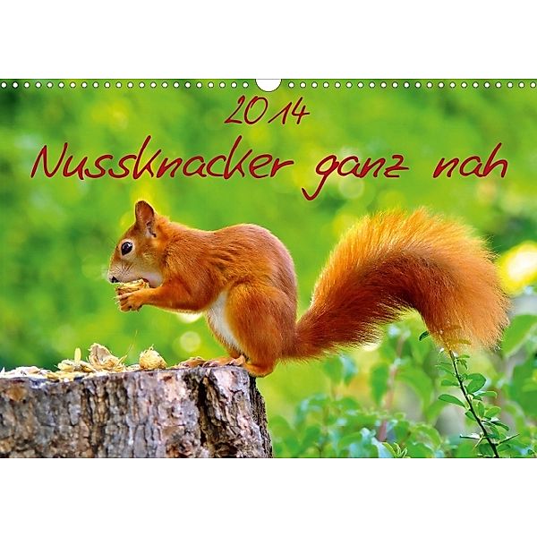 Eichhörnchen-Wandkalender (Wandkalender 2014 DIN A3 quer), Ivan Jazbinszky