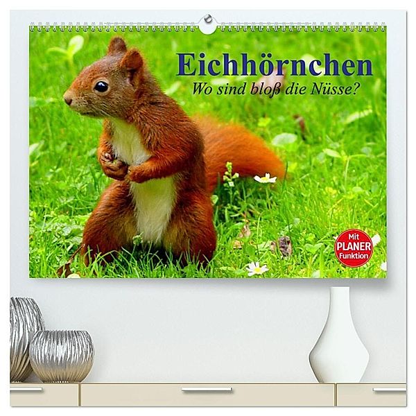 Eichhörnchen. Wo sind bloß die Nüsse? (hochwertiger Premium Wandkalender 2025 DIN A2 quer), Kunstdruck in Hochglanz, Calvendo, Elisabeth Stanzer