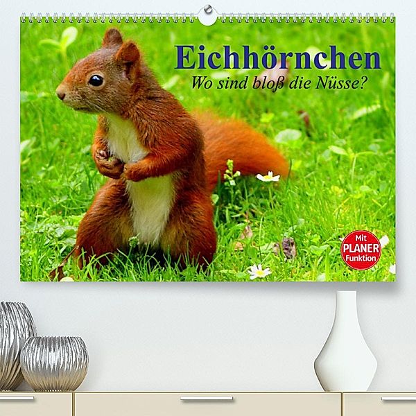 Eichhörnchen. Wo sind bloß die Nüsse? (Premium, hochwertiger DIN A2 Wandkalender 2023, Kunstdruck in Hochglanz), Elisabeth Stanzer