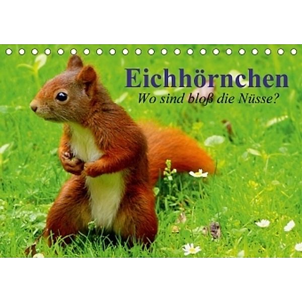 Eichhörnchen. Wo sind bloß die Nüsse? (Tischkalender 2017 DIN A5 quer), Elisabeth Stanzer