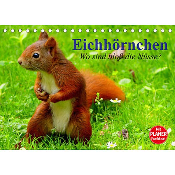 Eichhörnchen. Wo sind bloß die Nüsse? (Tischkalender 2022 DIN A5 quer), Elisabeth Stanzer