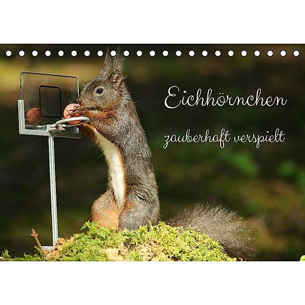 Eichhörnchen - zauberhaft verspielt (Tischkalender 2023 DIN A5 quer), Angela Merk