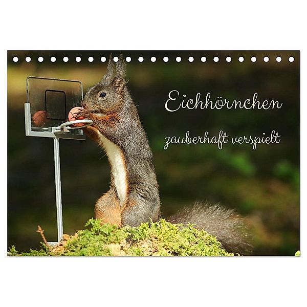 Eichhörnchen - zauberhaft verspielt (Tischkalender 2024 DIN A5 quer), CALVENDO Monatskalender, Angela Merk