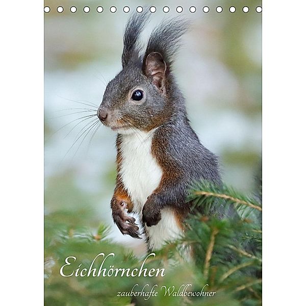 Eichhörnchen - zauberhafte Waldbewohner (Tischkalender 2023 DIN A5 hoch), Angela Merk