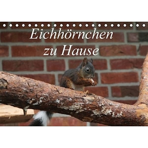 Eichhörnchen zu Hause (Tischkalender 2016 DIN A5 quer), Martin Peitz