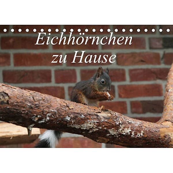 Eichhörnchen zu Hause (Tischkalender 2022 DIN A5 quer), Martin Peitz