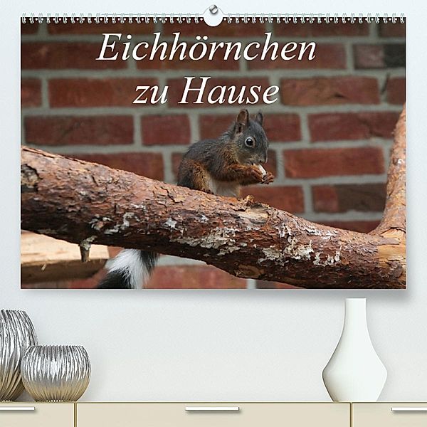 Eichhörnchen zu Hause(Premium, hochwertiger DIN A2 Wandkalender 2020, Kunstdruck in Hochglanz), Martin Peitz
