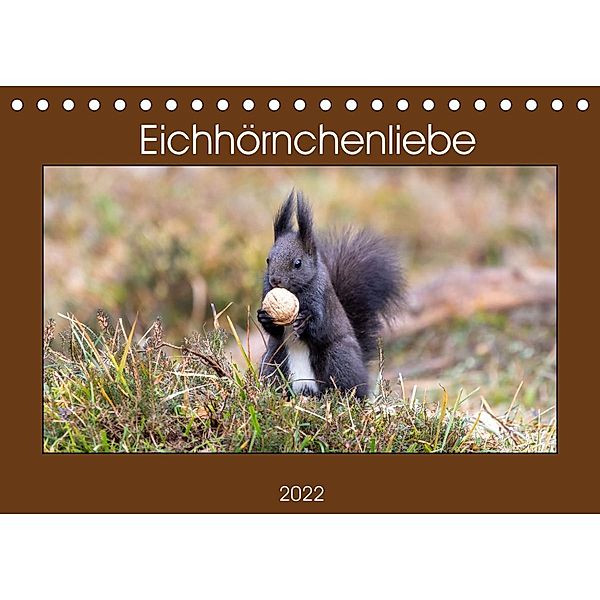 Eichhörnchenliebe (Tischkalender 2022 DIN A5 quer), Teresa Bauer