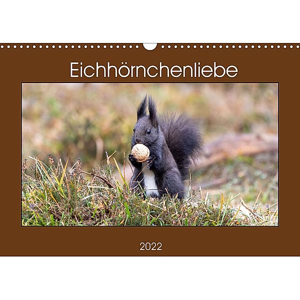 Eichhörnchenliebe (Wandkalender 2022 DIN A3 quer), Teresa Bauer